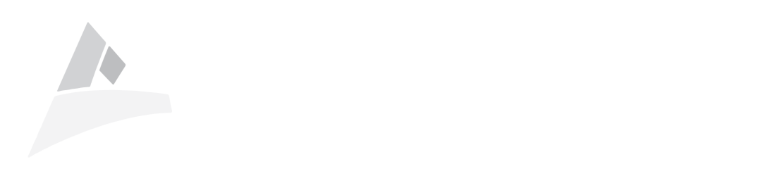 Axon Group web Logo No Color